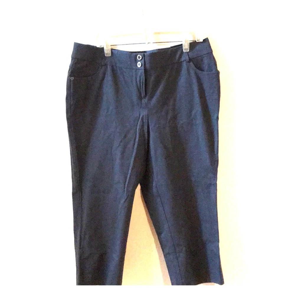 Alfani Woman capris